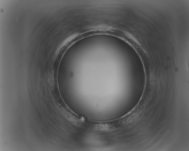 X0000062871315200601171411