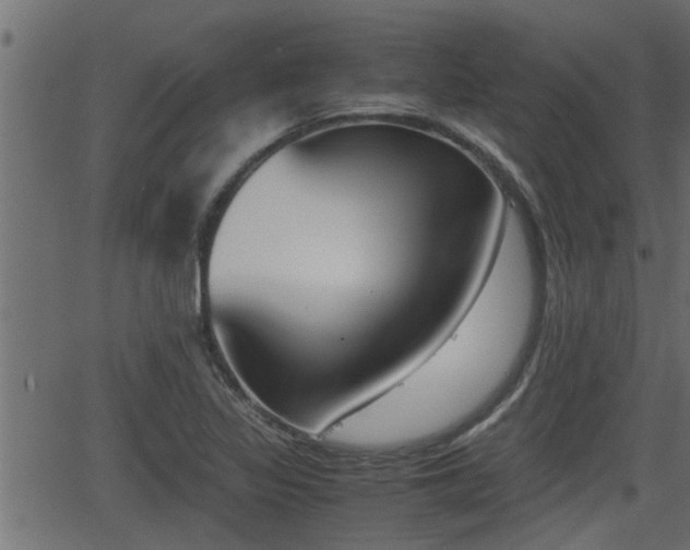 X0000062871317200601171411