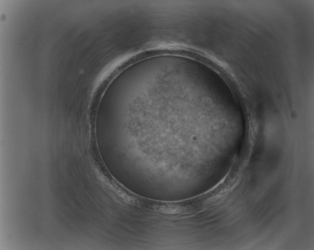 X0000062871319200601171411