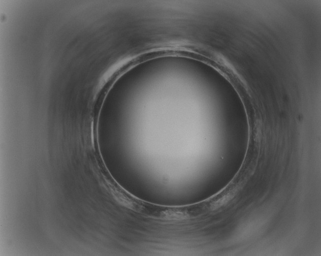 X0000062871320200601171411