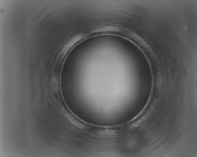 X0000062871321200601171411