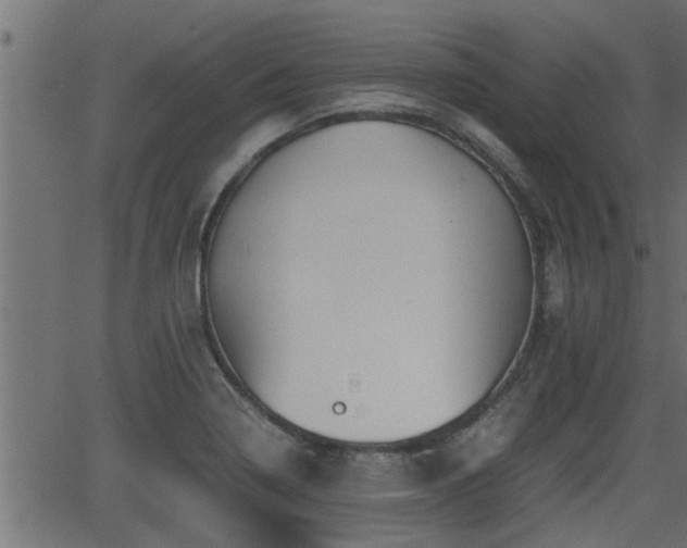 X0000062871322200601171411