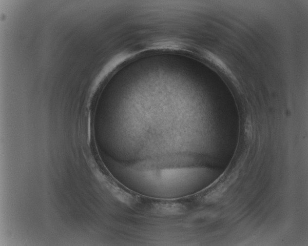 X0000062871323200601171411