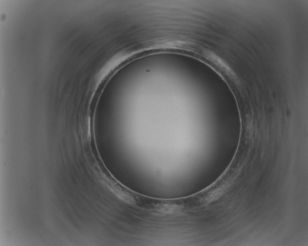 X0000062871324200601171411