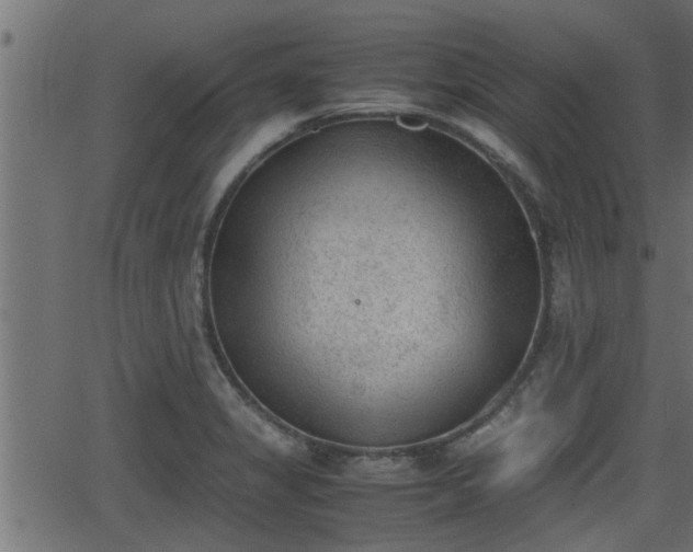 X0000062871325200601171411