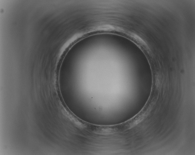 X0000062871326200601171411