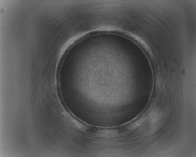 X0000062871327200601171411