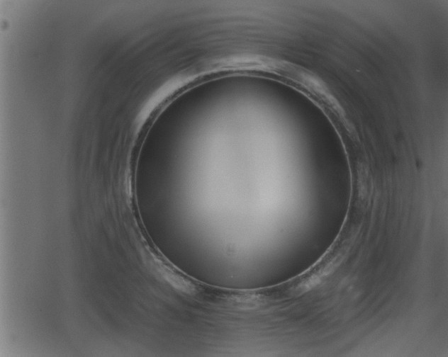 X0000062871328200601171411