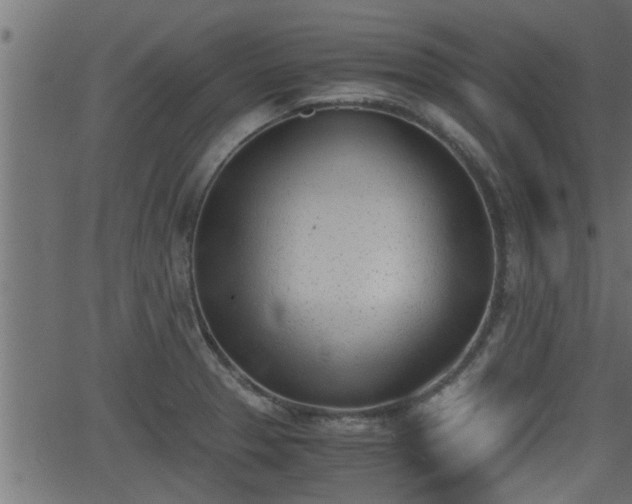 X0000062871329200601171411