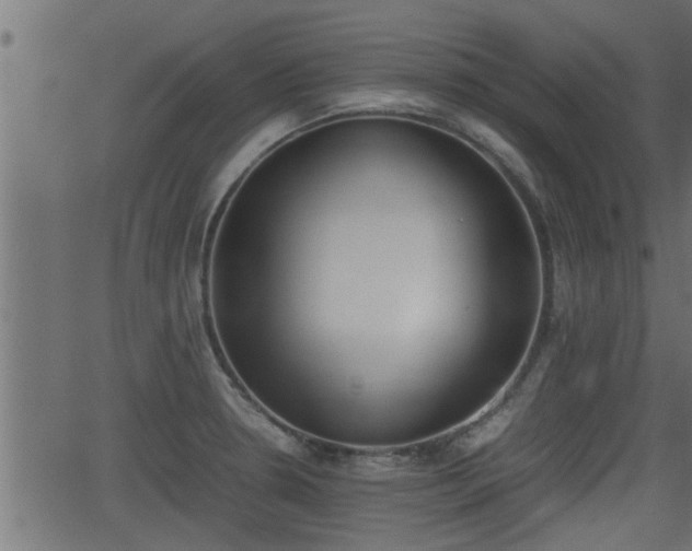 X0000062871330200601171411