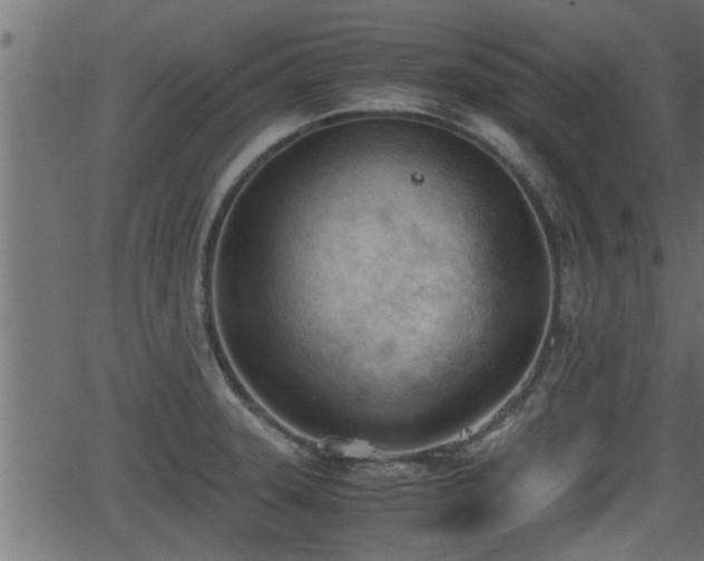 X0000062871331200601171411