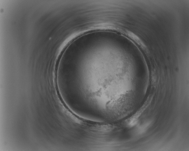 X0000062871334200601171411