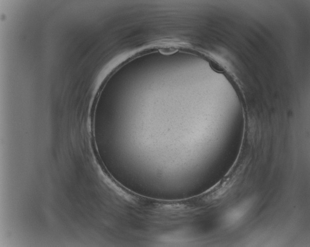 X0000062871335200601171411