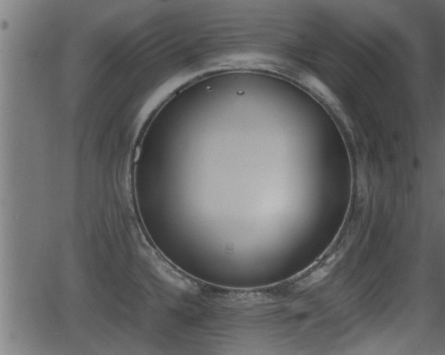 X0000062871336200601171411