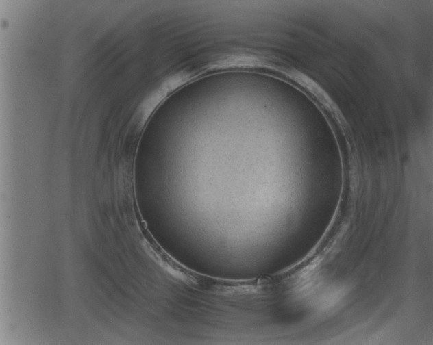 X0000062871337200601171411