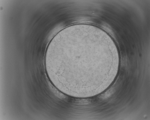 X0000062871338200601171411