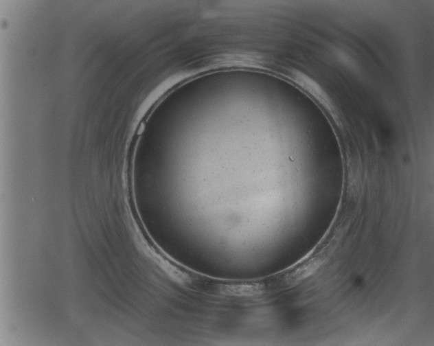 X0000062871339200601171411