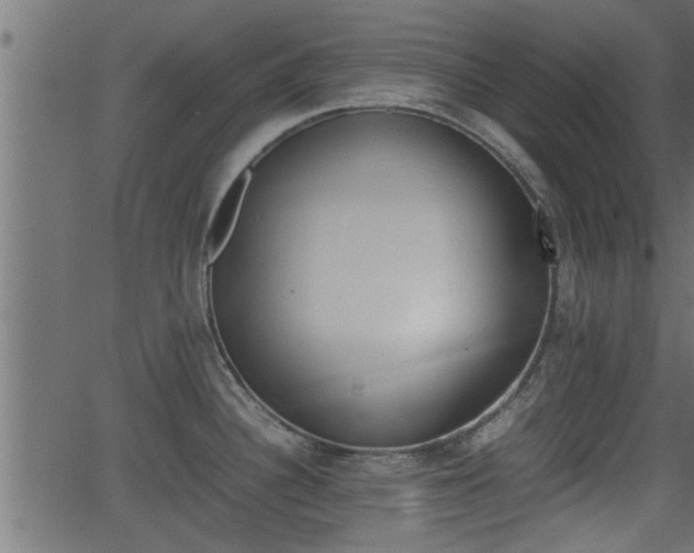 X0000062871340200601171411