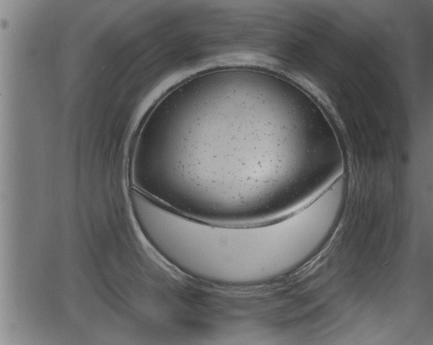 X0000062871342200601171411