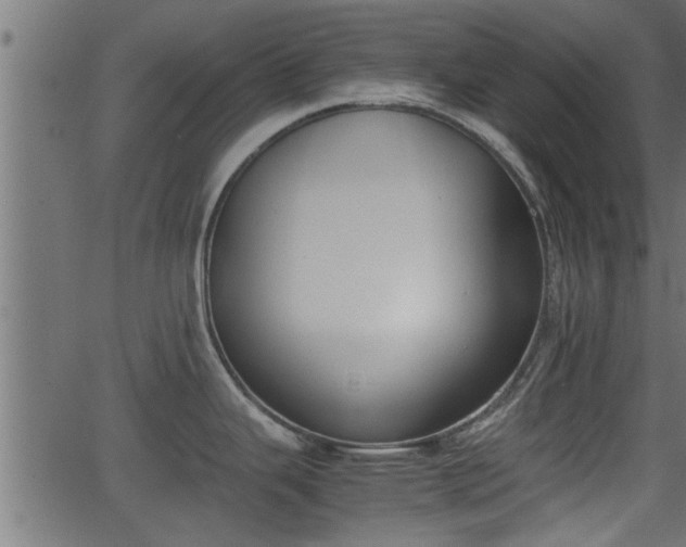 X0000062871343200601171411