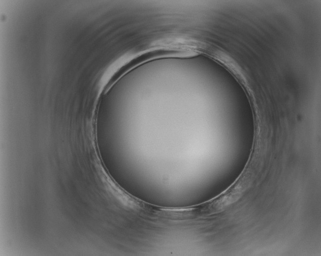 X0000062871344200601171411