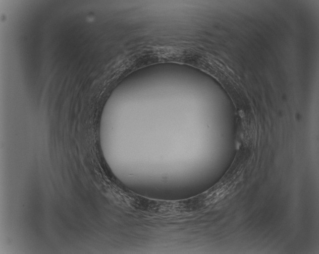 X0000062871345200601171411