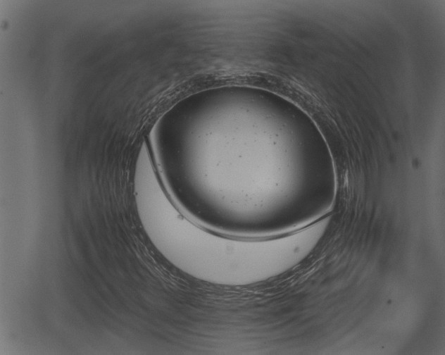 X0000062871348200601171410