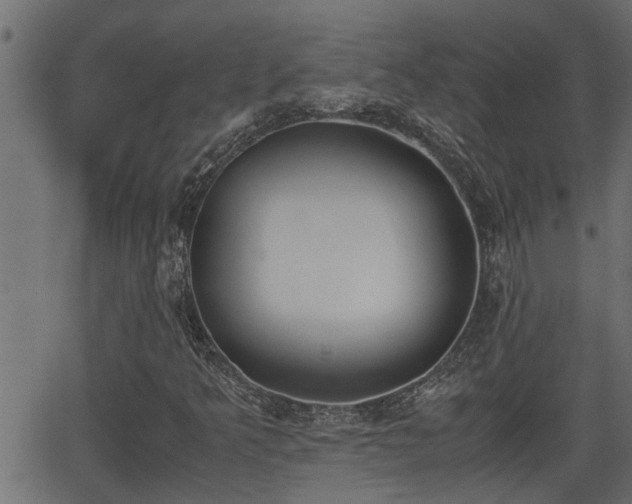 X0000062871349200601171410