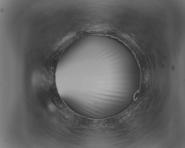 X0000062871350200601171410