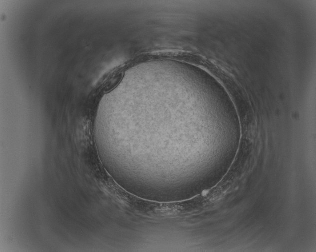 X0000062871351200601171410