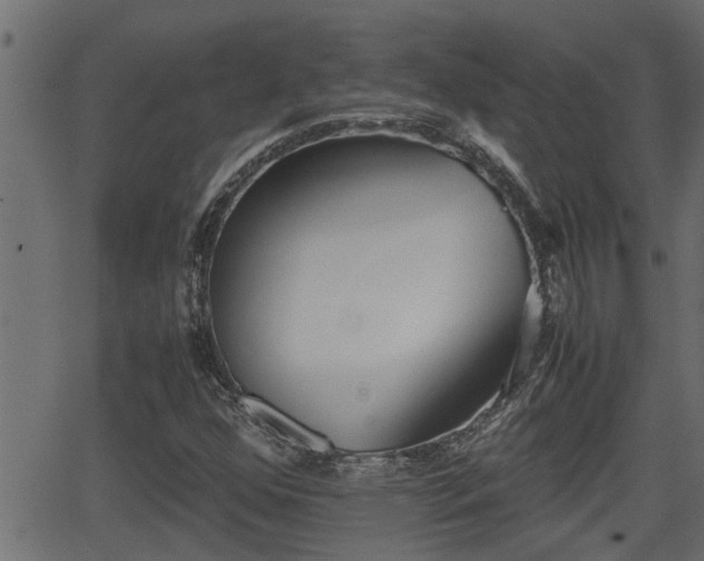 X0000062871352200601171410