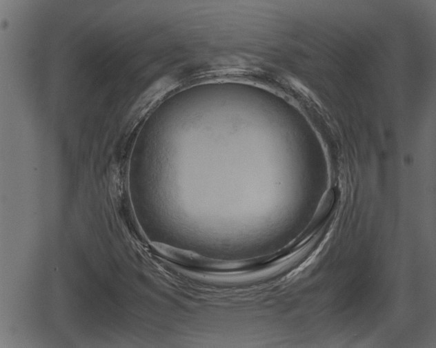 X0000062871353200601171410