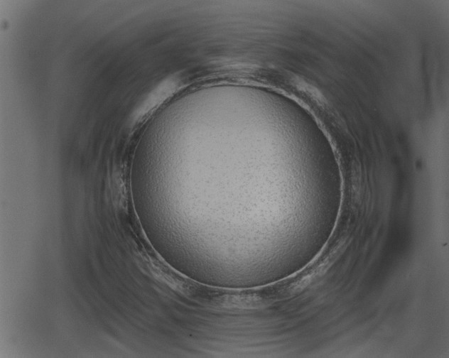 X0000062871354200601171410