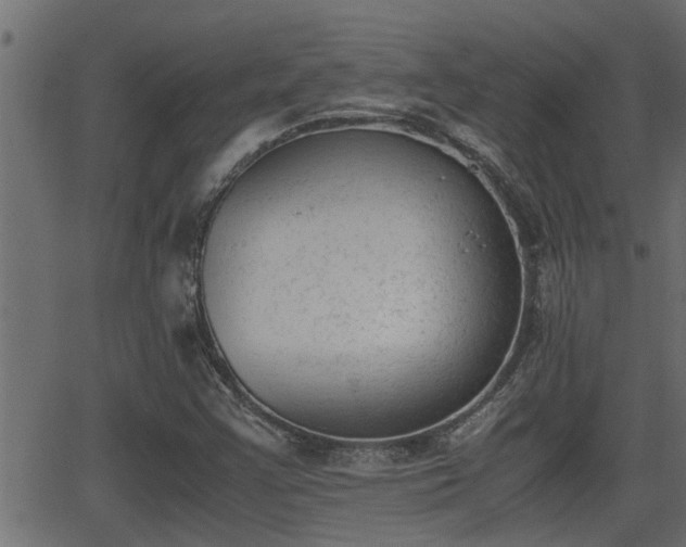 X0000062871355200601171410