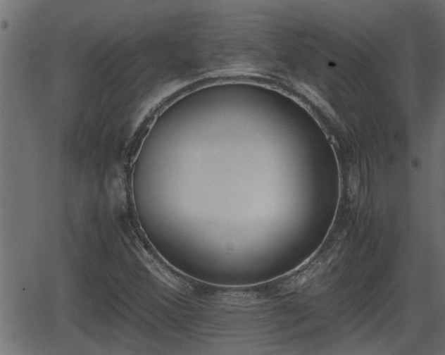 X0000062871356200601171410