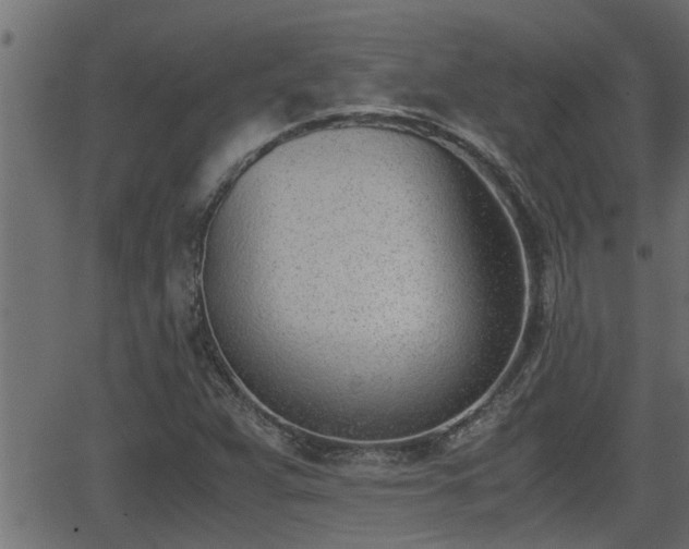 X0000062871359200601171410