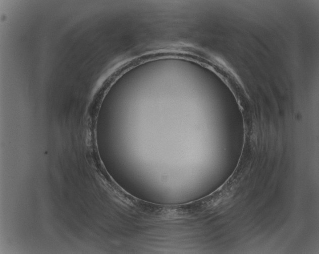 X0000062871360200601171410