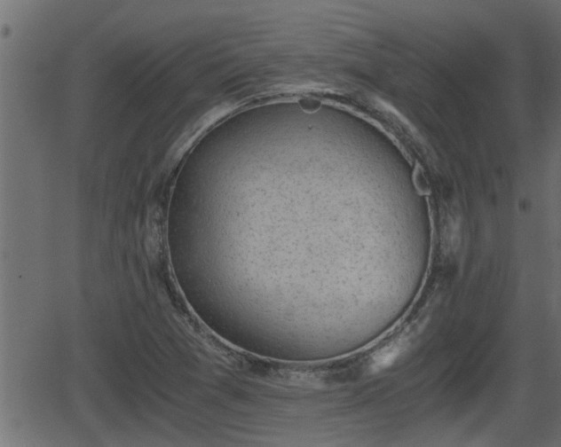 X0000062871361200601171410