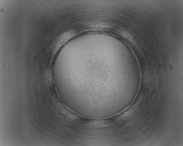 X0000062871362200601171410