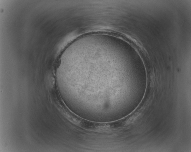 X0000062871363200601171410