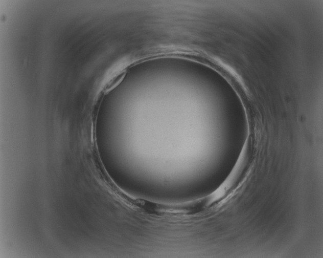 X0000062871365200601171410