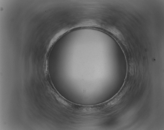 X0000062871366200601171410