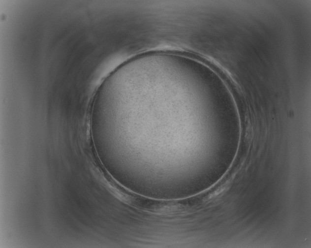 X0000062871367200601171410