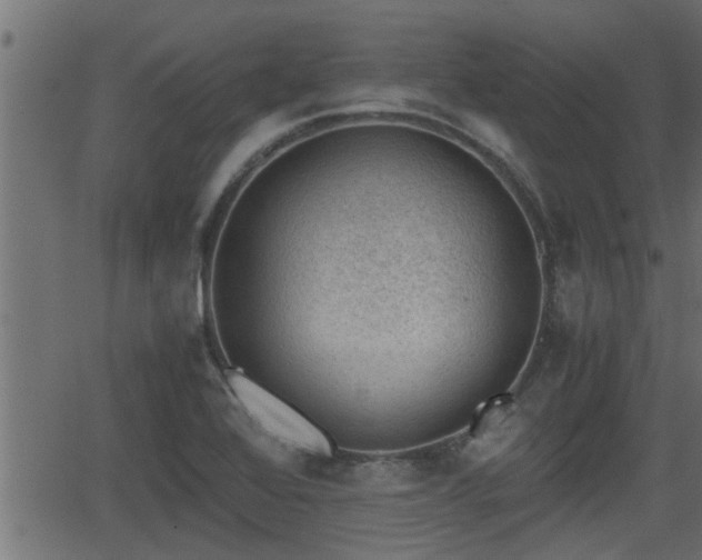 X0000062871368200601171410