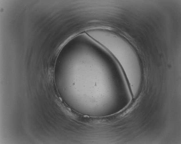 X0000062871369200601171410