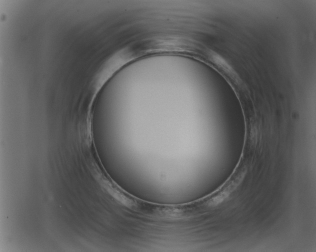 X0000062871370200601171410