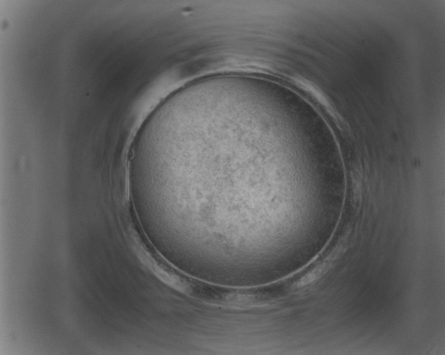 X0000062871371200601171410