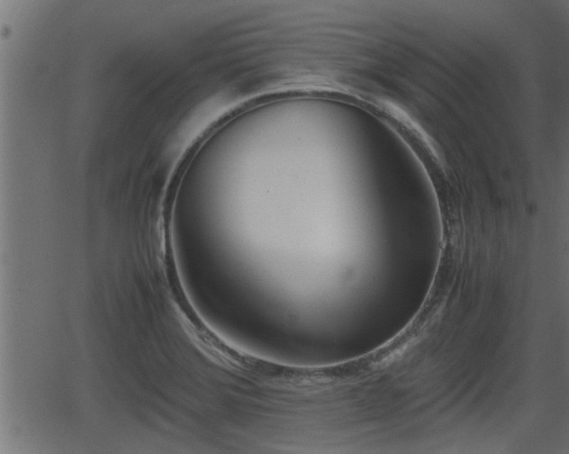 X0000062871372200601171410