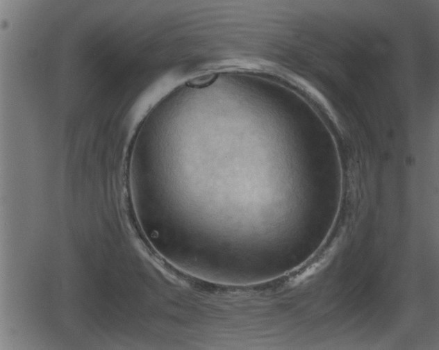 X0000062871373200601171410