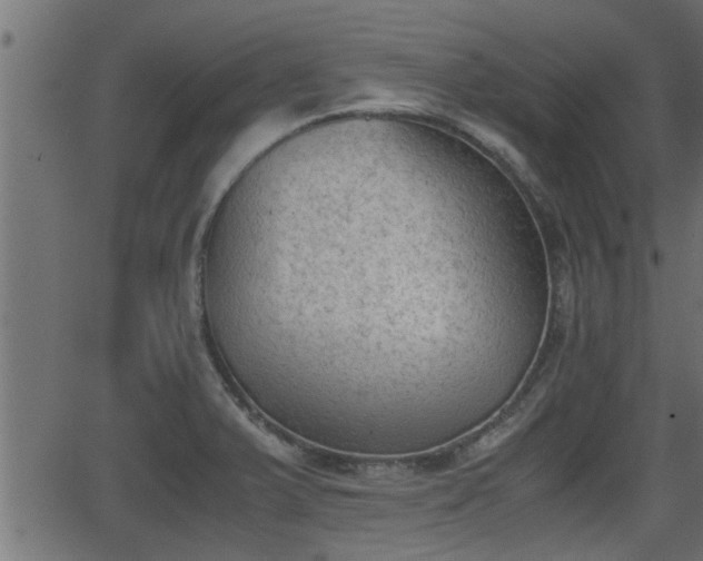 X0000062871375200601171410